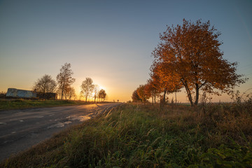Beautiful sunset with warm sky on background of autumn trees