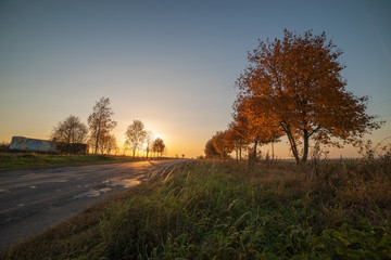 Fototapeta na wymiar Beautiful sunset with warm sky on background of autumn trees