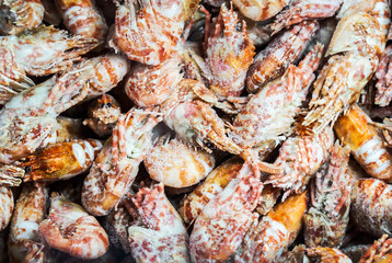 shrimp lie on the store or in the kitchen of a restaurant. Background seafood