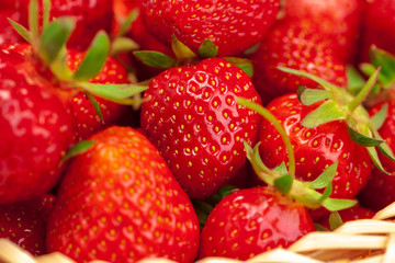 Close up of fresh ripe strawberry fruits
