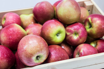 fresh fruit apples in a wooden box. Harvest of ripe apples