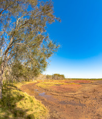 swampy mudflats