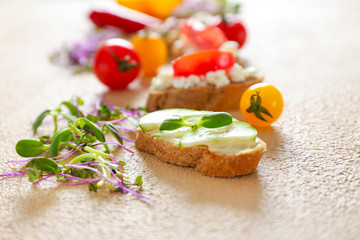 Tasty sandwich with herbs on color background