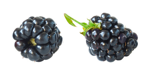 Blackberry Collection. Fresh Juicy Berries Isolated on White Background