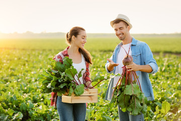 Young farmers with harvest of beetroots in field