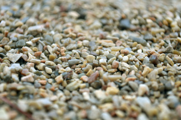 Sea pebble. Colorful small pebble and stone texture. Detailed sand texture.