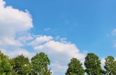 風景　空　緑　秋　日本　杤木