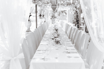 Beautifully decorated wedding ceremony location under a large oak tree, wide view.