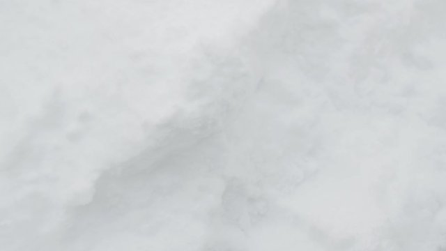 the first snow in mittens