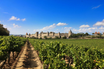 Fototapeta na wymiar Cité de Carcassonne / France 