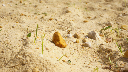 sand, sand stones and grass