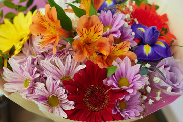 Floral bouquet of colorful bright flowers. floristic arrangement closeup. red gerbera, pink chrysanthemum, purple irises, orange alstroemeria