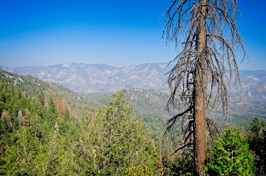 Driving towards Yosemite National Park on the border of Nevada and California