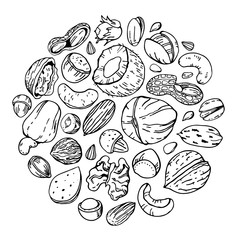 Fototapeta na wymiar Different nuts and seeds. Round composition. Hand drawn outline vector sketch illustration