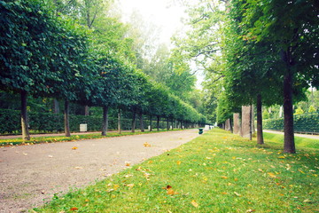 Autumn deserted city park.