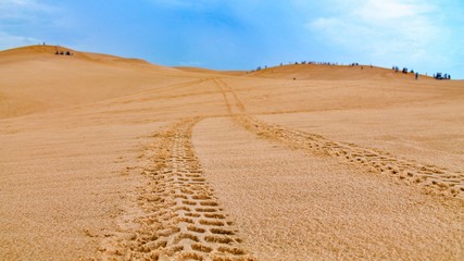 Tire mark on sand dunes in the desert