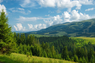 Fototapeta na wymiar Morning high in the Carpathians