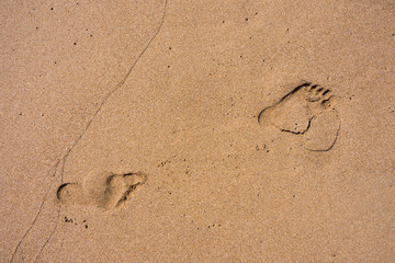 Footsteps on sand on the beach