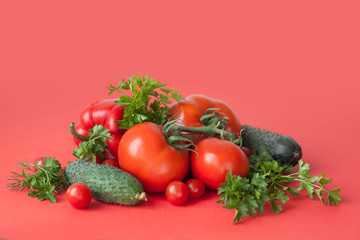 Flat lay composition with fresh cucumber, green-stuff and tomatoes on red background with copy cpace