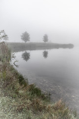 Foggy Morning Small Lake Shore