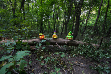 halloween pumpkin in a dark mystical forest