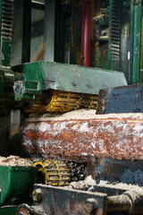 At sawmill. Image of sawing log on machine