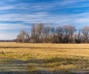 Fototapeta premium Peaceful landscape with water meadow against half Moon on blue sky at fall season in Poltavskaya oblast, Ukraine