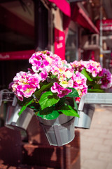 Fototapeta na wymiar Artificial flowers in a tin pot hanging on the street, city decoration