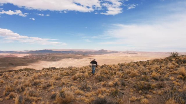 Argentinian shepherd called gaucho searching the herd on the fields of the Argentinian Pampa, Patagonia. 4k	