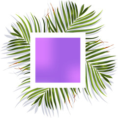 Tropical leaves. Jungle background flower and palm. Vector jungle illustration. Green tropical leaves banner.