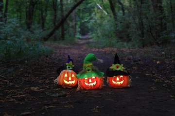 halloween pumpkin in a dark mystical forest