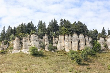 Plateau of la Moliere in Autrans, Vercors, France