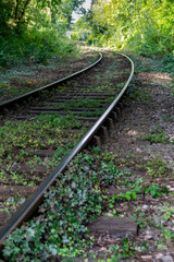 Obraz premium Leading lines with train tracks heading into a forest