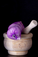 GARLIC IN NETWORK BAG ON WOOD MORTAR AND BLACK BACKGROUND. KITCHEN SPICE