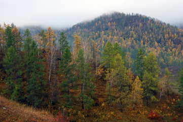 Beautiful landscape early morning in mountain terrain