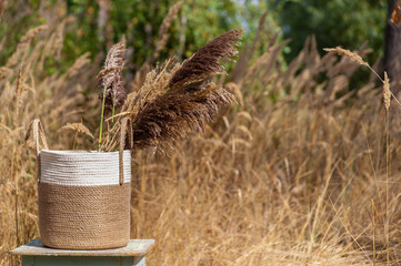 Basket with dry grass panicles on yellow blurred background