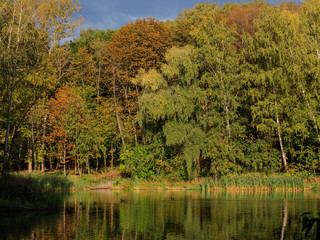 Autumn, Park, pond.