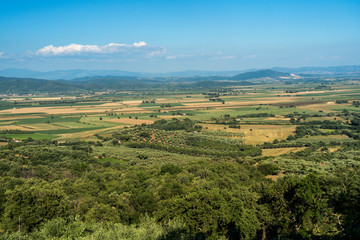 Fototapeta na wymiar Summer landscape in Maremma, Tuscany