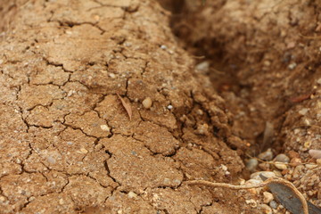 Dry, Cracked Earth, Soil and Ground