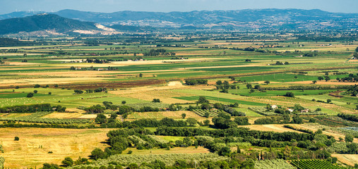 Summer landscape in Maremma, Tuscany