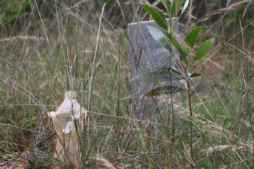 Old Plastic Bottle in Tall Grass or Forested Area