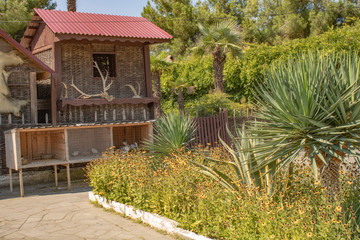 Corner for relaxation on the Black Sea in sunny summer