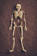 imitate of discovering the bury a dead body with skeleton model and  dark brown soil
