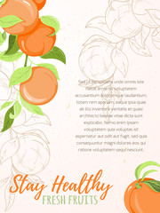 Peach or apricot fruit card