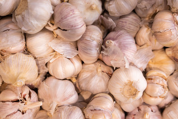 Spicy begetable for meat or other meal. Garlic in shell