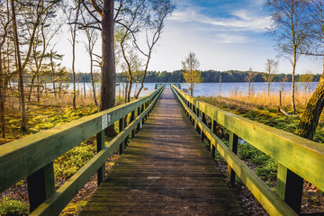 Fototapeta premium Wooden viewing bridge on Dolgie Wielke Lake in Slowinski National Park in Pomerania region, Poland