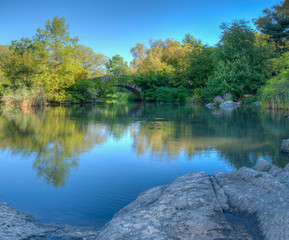 Fototapeta premium Gapstow Bridge in Central Park