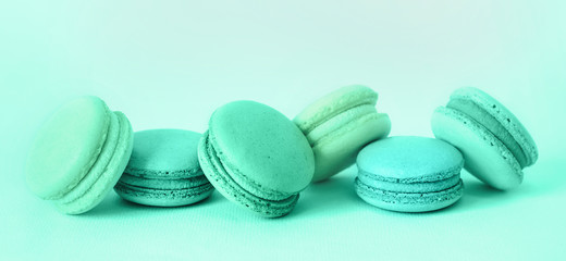 French macaroons cookies set in trendy green colors. Banner format