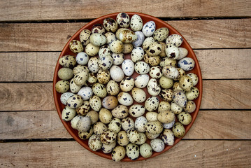 Obraz na płótnie Canvas fresh delicious farm quail eggs