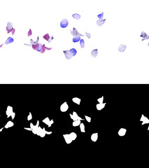 3D illustration of a flower petals flow with alpha layer